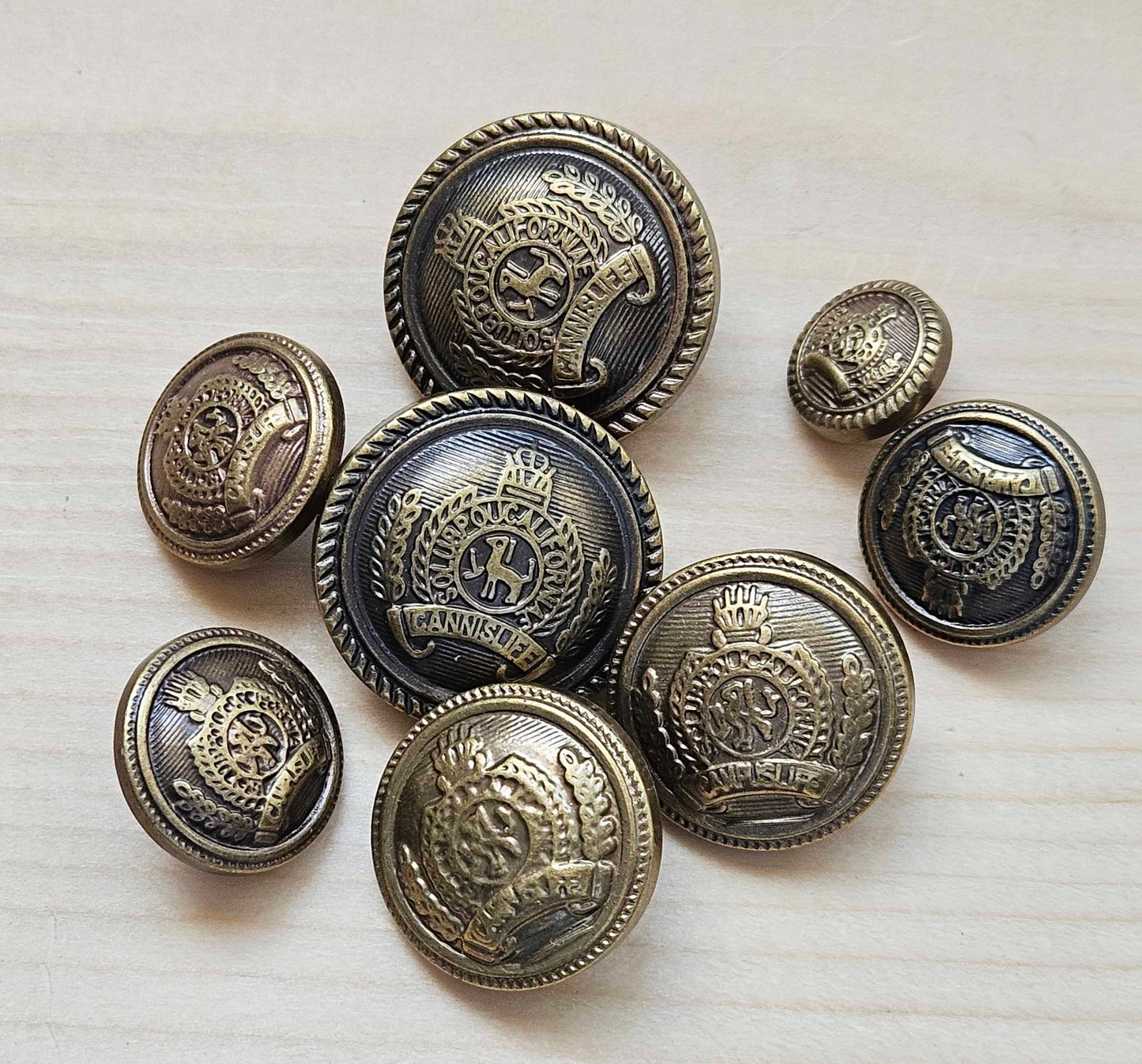 Clearance // ANTIQUE CROWN / Plastic Shank Buttons / 12.5-25mm (Set of 6)