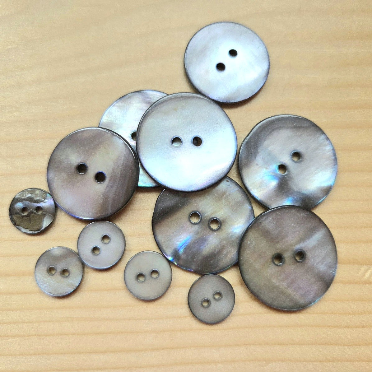 GREY SEASHELL / 2-Hole Seashell Buttons / 11.5-25mm (Set of 6)