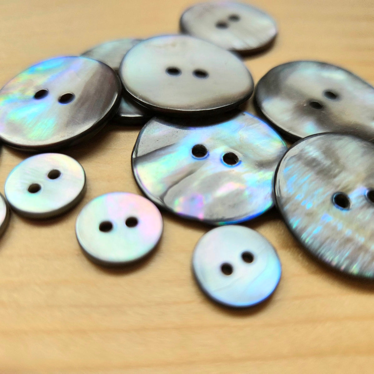 GREY SEASHELL / 2-Hole Seashell Buttons / 11.5-25mm (Set of 6)