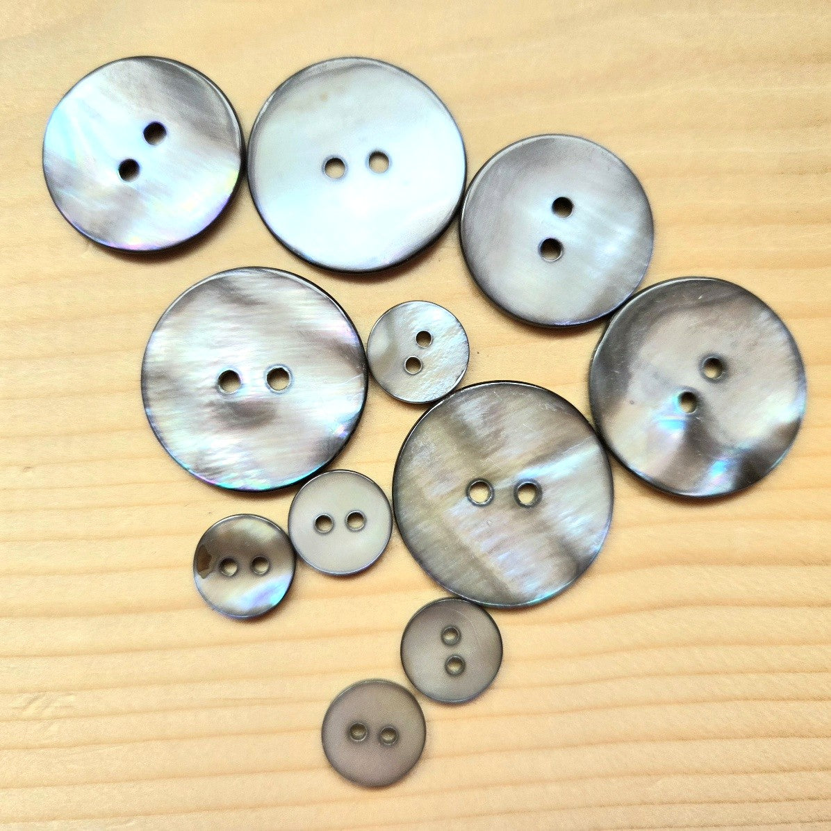 GREY SEASHELL / 2-Hole Seashell Buttons / 11.5-25mm (Set of 6)