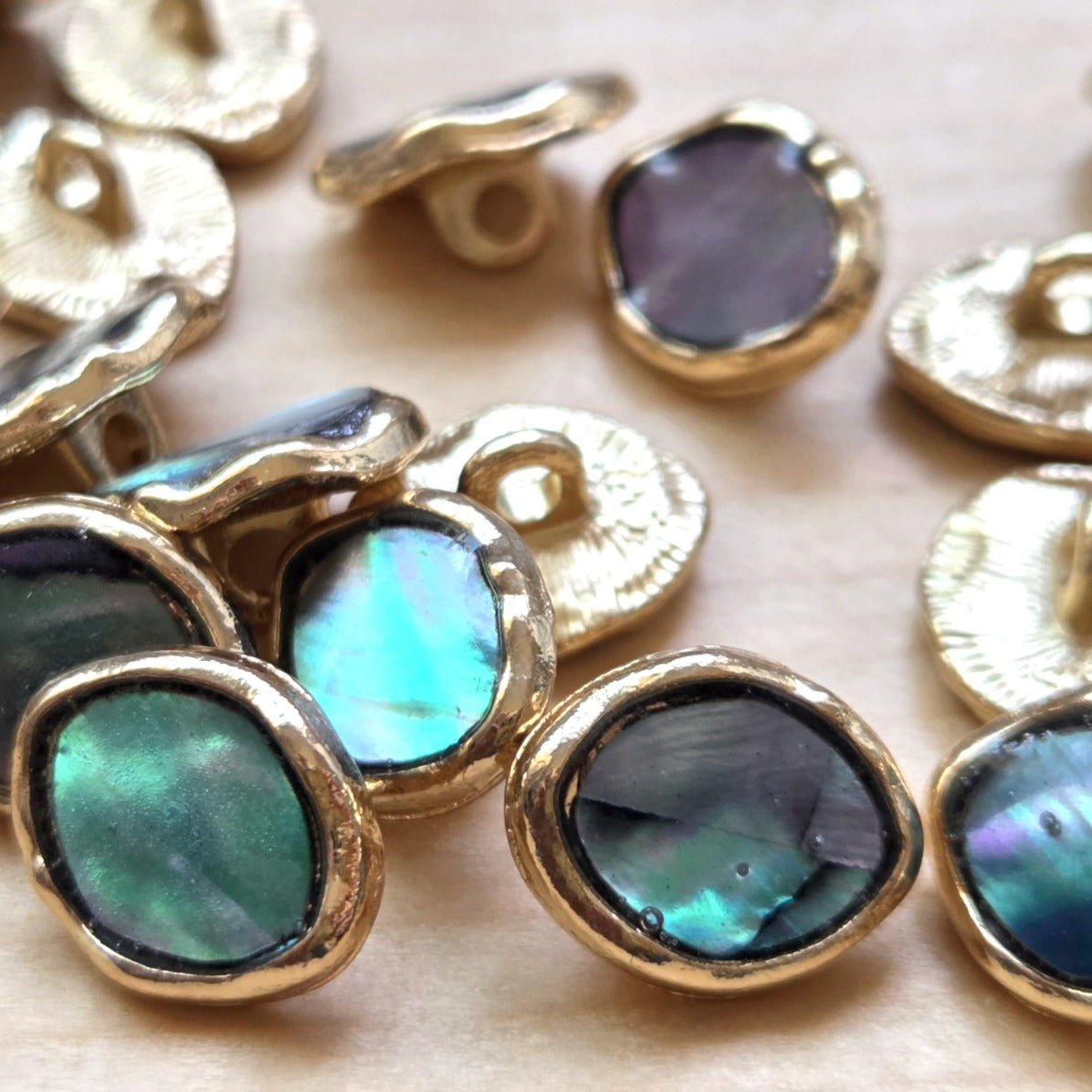 Clearance // PAUA SHANK / Shank Seashell Metal Buttons / 10.5x13mm (Set of 4)