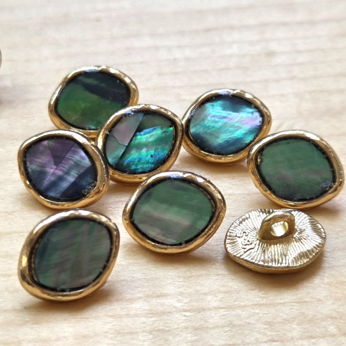 Clearance // PAUA SHANK / Shank Seashell Metal Buttons / 10.5x13mm (Set of 4)