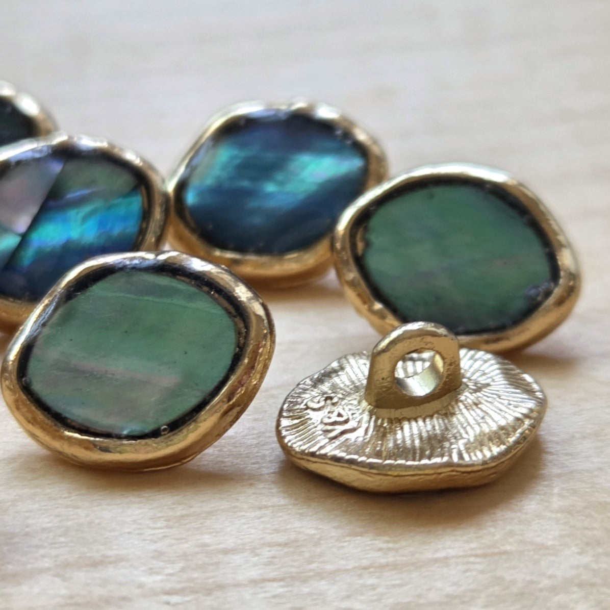 Clearance // PAUA SHANK / Shank Seashell Metal Buttons / 10.5x13mm (Set of 4)