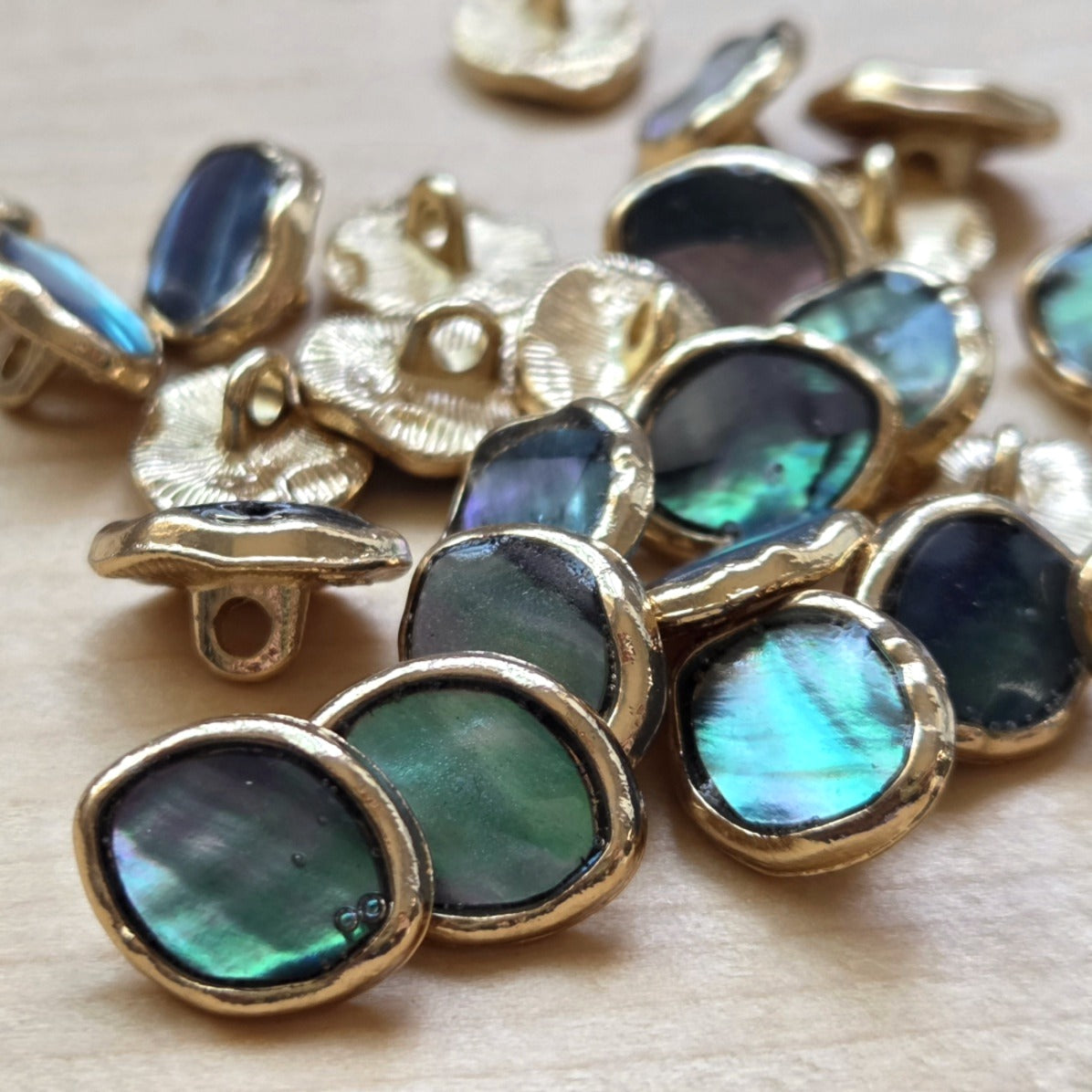 Clearance // PAUA SHANK / Shank Seashell Metal Buttons / 10.5x13mm (Set of 4)