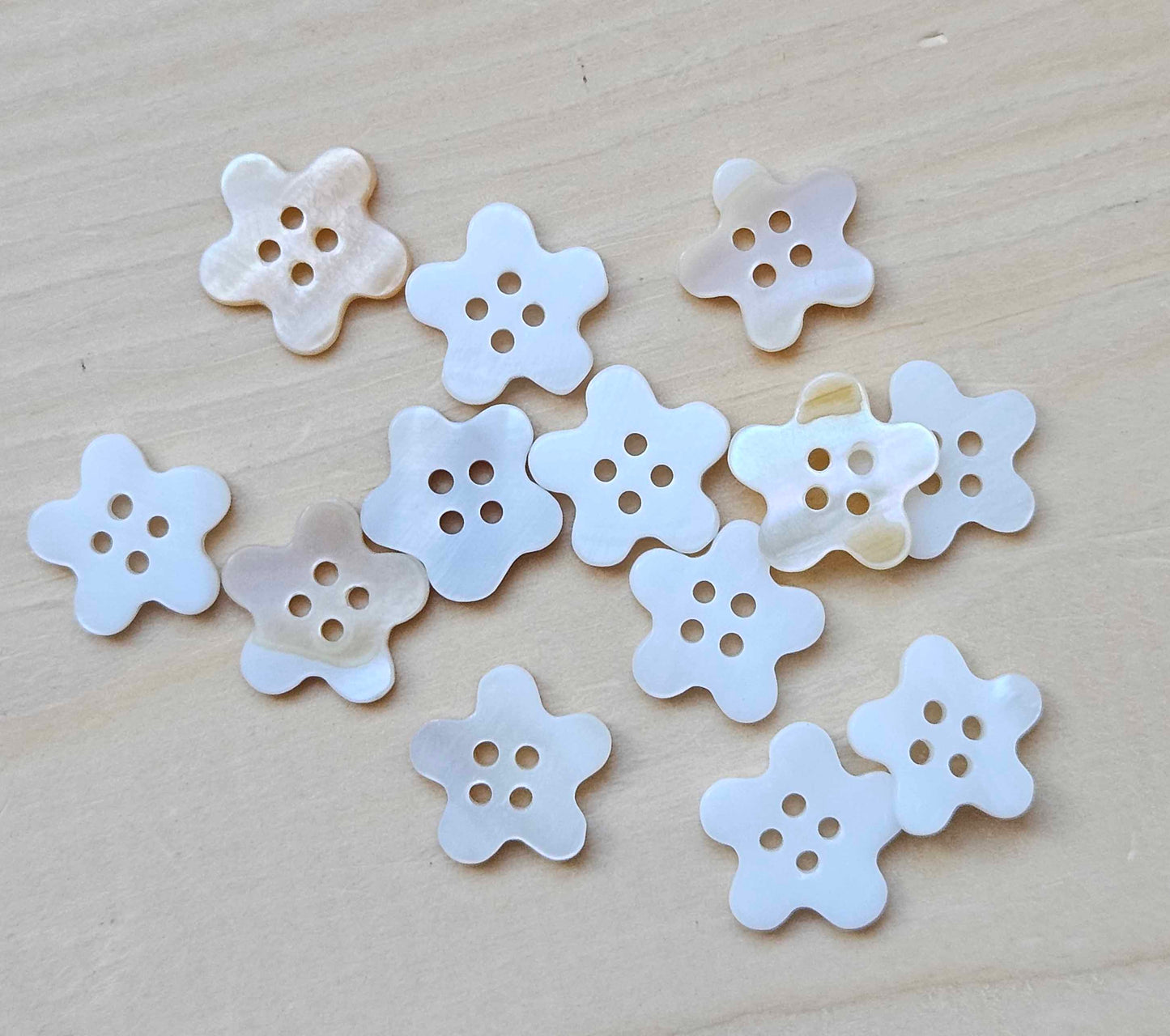 SEASHELL DAISY / 12.5*13mm -  6 buttons / MOP Shell Buttons / Sewing Buttons